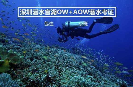 垃圾分类打卡换小礼品